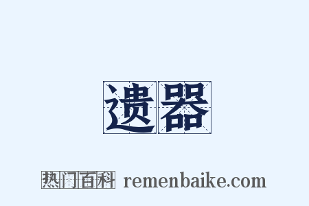 遗器是什么意思的图片